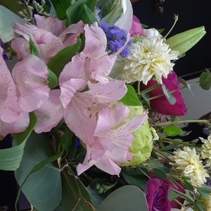 Meet your Posher, Danielle